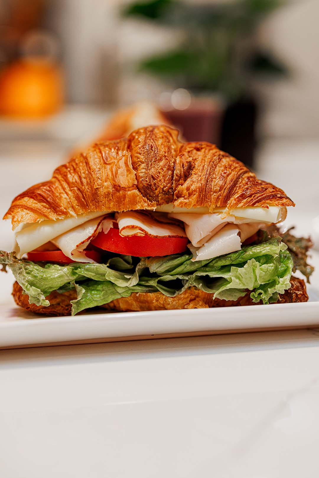 Turkey And Provolone Sandwich